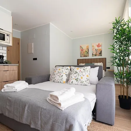 Deluxe By Roque Apartment Vigo